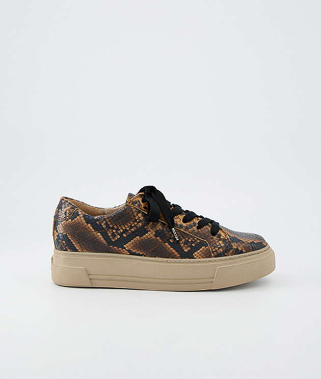 Paul Green 5469-058 Sneaker in braun